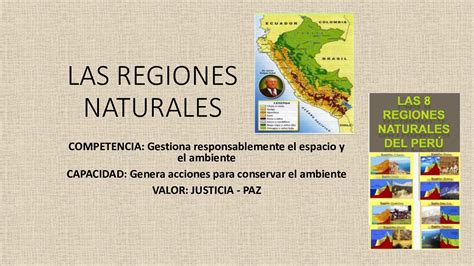 regiones naturales-4